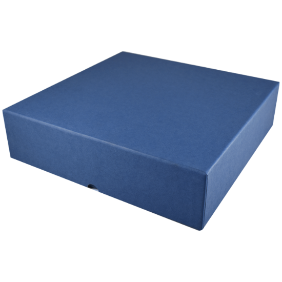 500oz Medallion Tube Monster Box with Foam Insert - Holds 25 Tubes